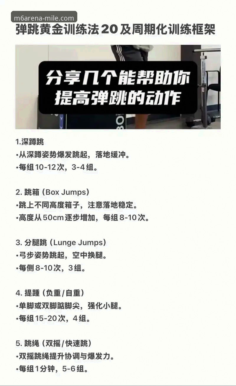 如何快速上手米乐M6体育平台？一份超详细的新手教程